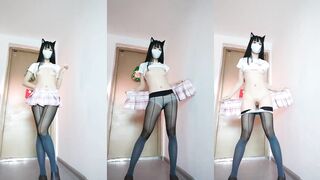 Dance kitten