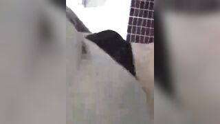 性欲を抑えきれなかった女の子はオナニーして絶頂を迎えた