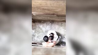 高中情侶饑渴難耐 放學後無人小巷直播造人被看光光
