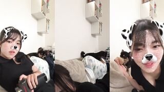 いぬ