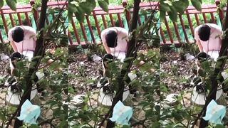 學生戶外做愛